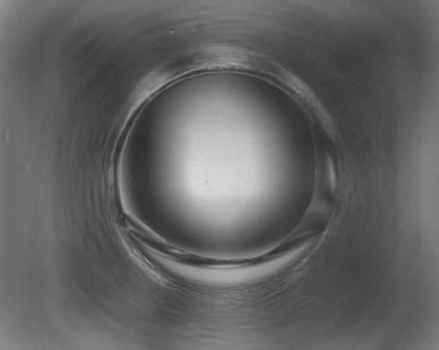 X0000081291234200701111350