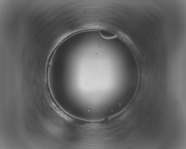 X0000081291236200701111350