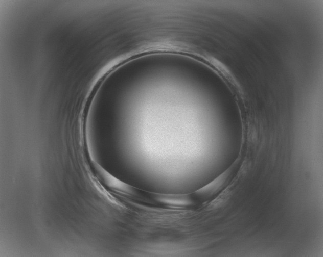 X0000081291238200701111350