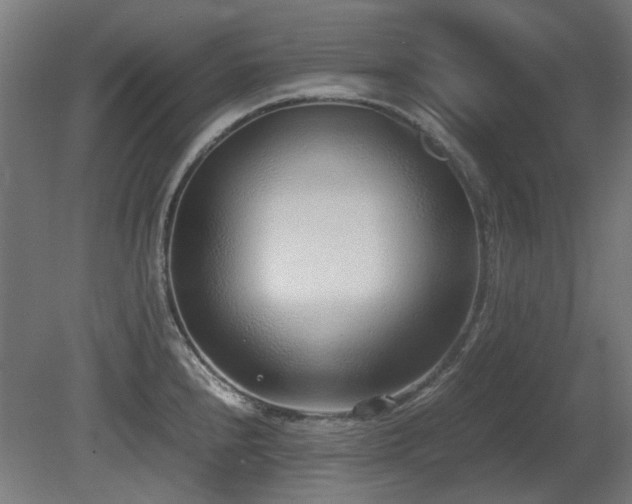 X0000081291240200701111350