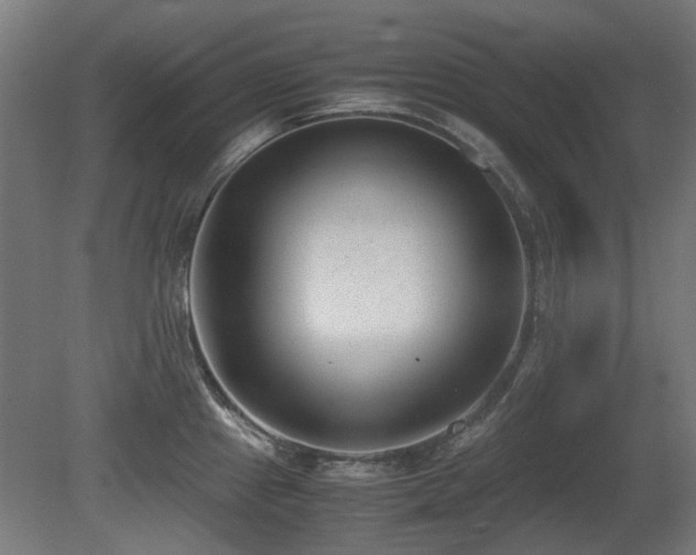X0000081291241200701111350