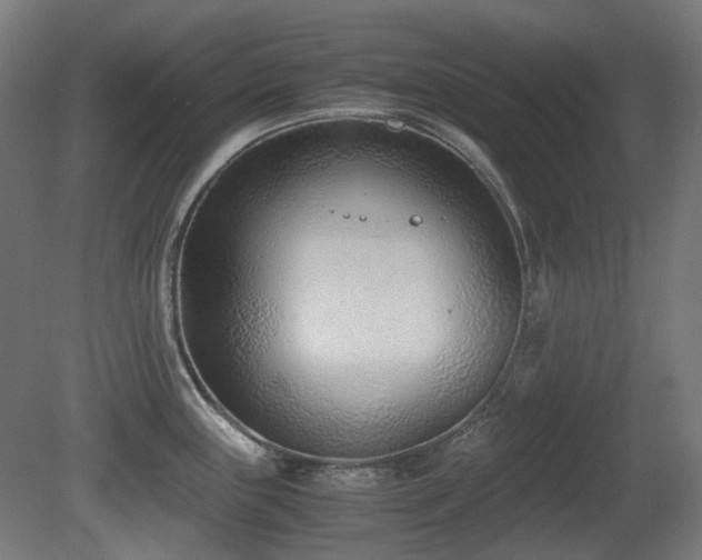 X0000081291243200701111350