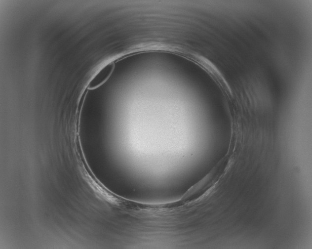 X0000081291244200701111350