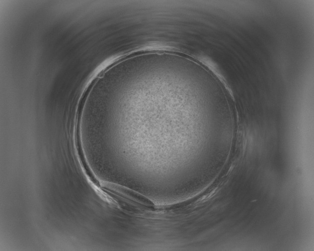 X0000081291245200701111350