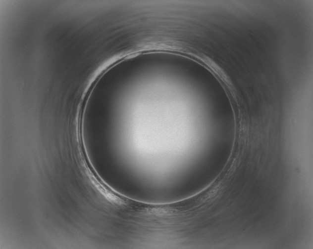 X0000081291246200701111350