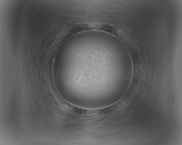 X0000081291249200701111349