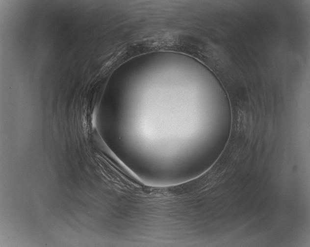 X0000081291250200701111349