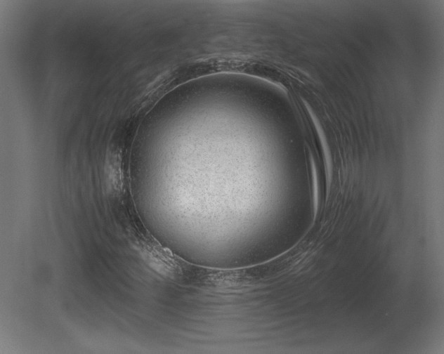 X0000081291252200701111349