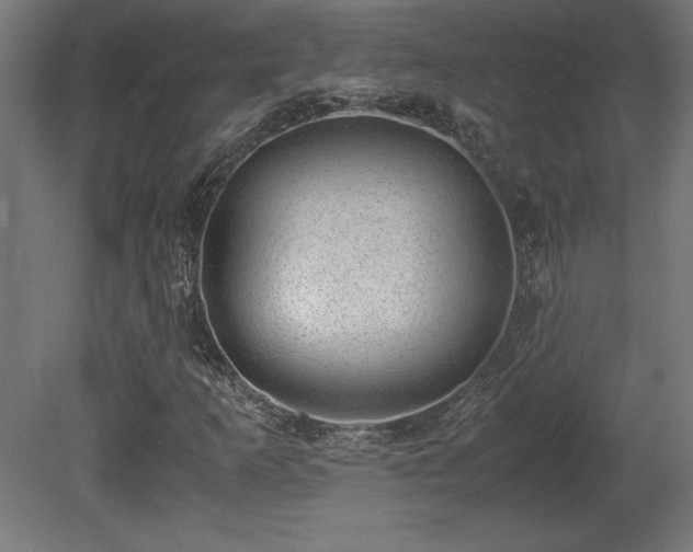 X0000081291253200701111349