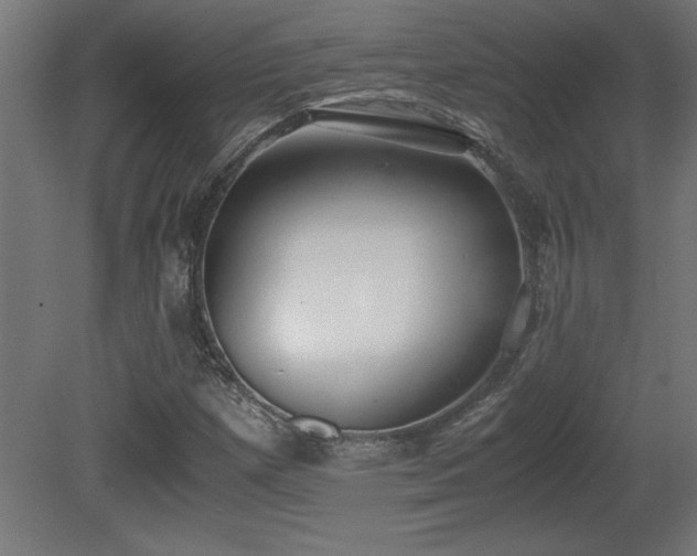 X0000081291257200701111349