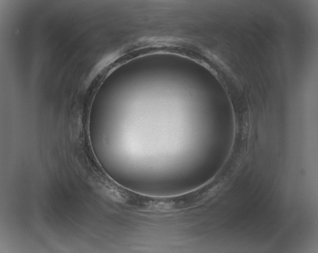X0000081291261200701111349