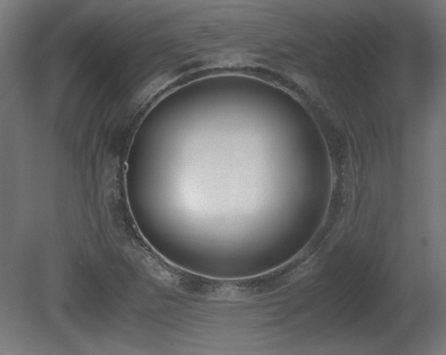 X0000081291265200701111349