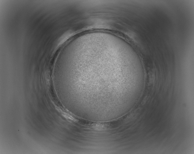 X0000081291266200701111349