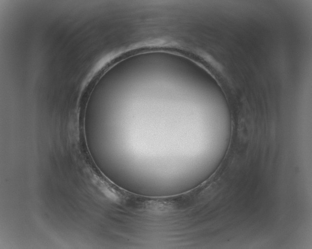 X0000081291270200701111349
