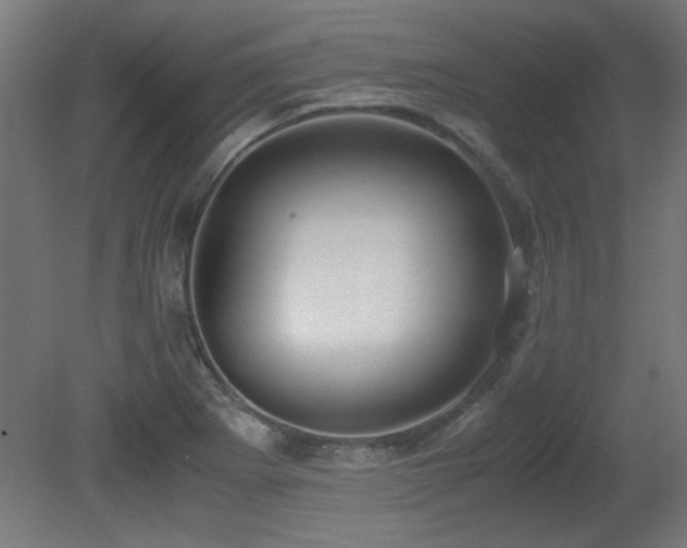 X0000081291273200701111349
