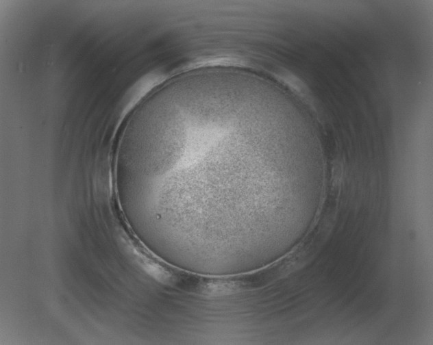 X0000081291274200701111349