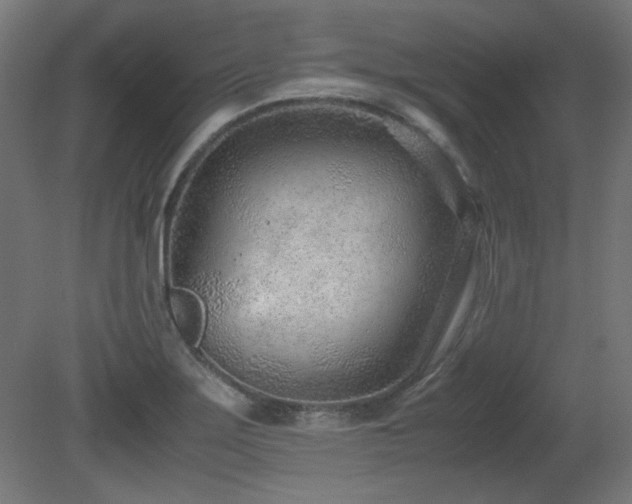 X0000081291275200701111349