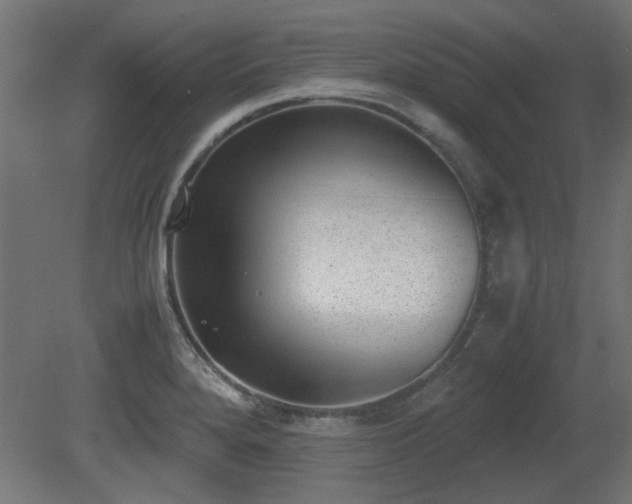 X0000081291280200701111349