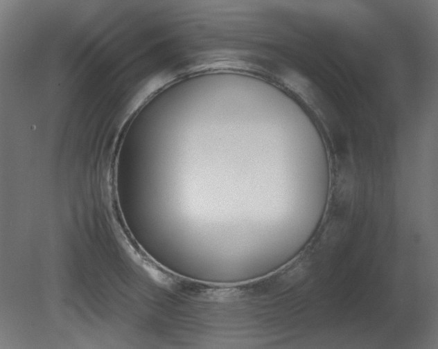 X0000081291282200701111349