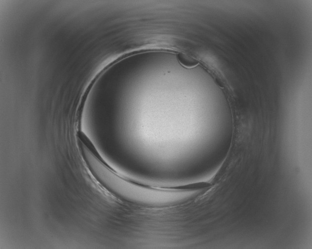 X0000081291284200701111349