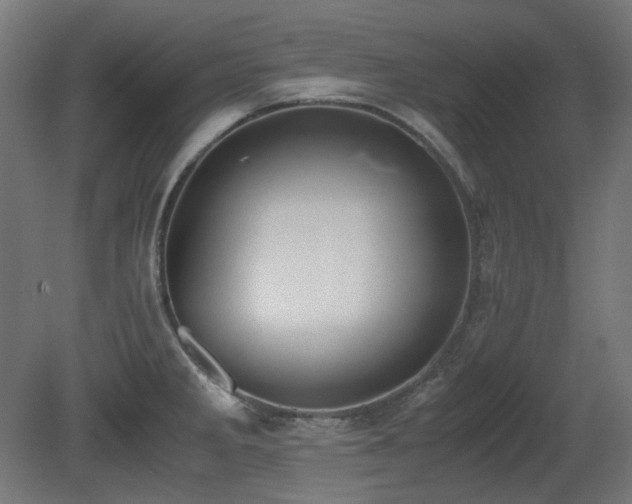 X0000081291285200701111349