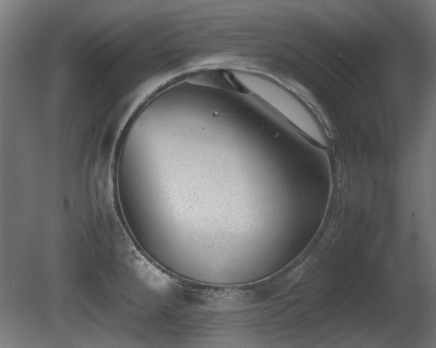 X0000081291288200701111349