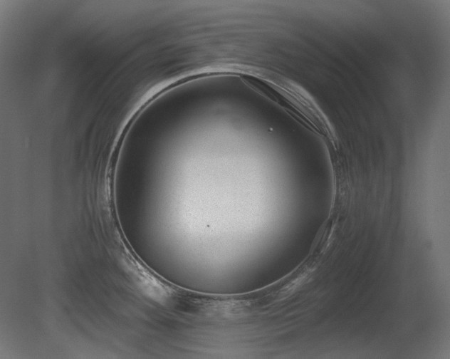 X0000081291292200701111349
