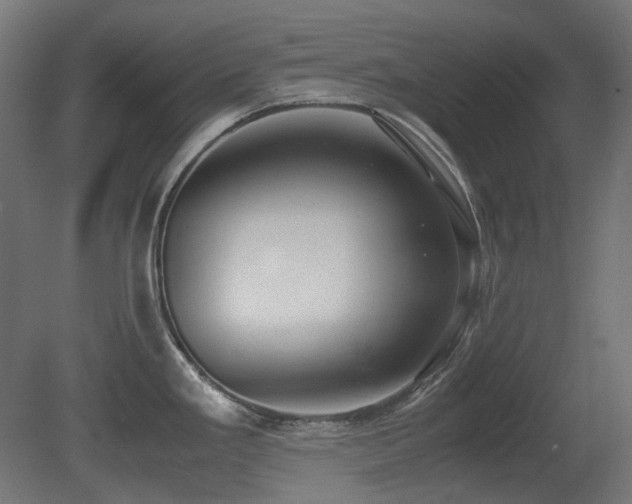 X0000081291293200701111349