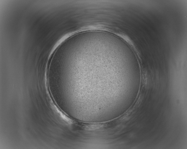 X0000081291294200701111349