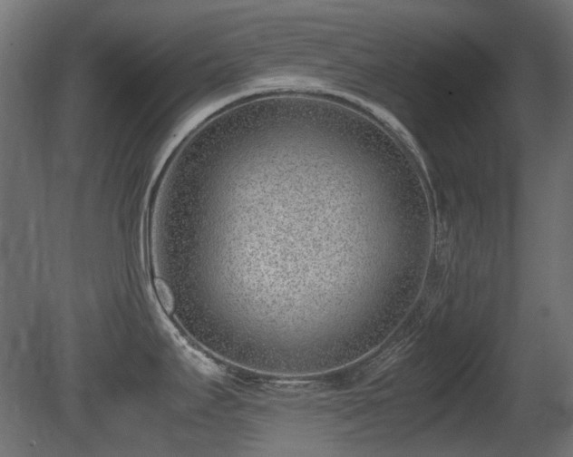 X0000081291295200701111349