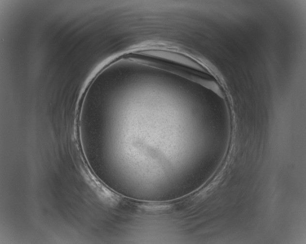 X0000081291296200701111349