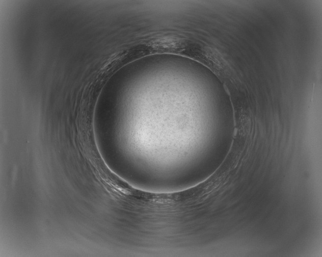 X0000081291297200701111348