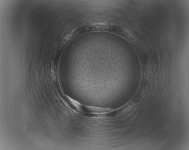 X0000081291298200701111348