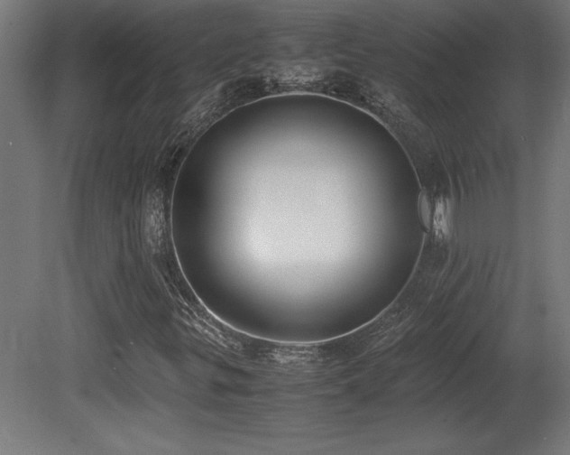 X0000081291299200701111348