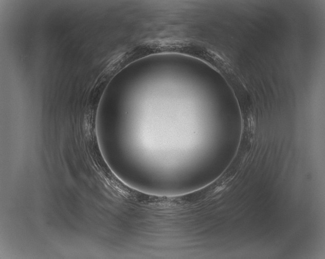 X0000081291300200701111348