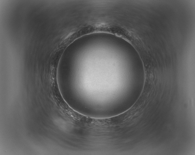 X0000081291301200701111348