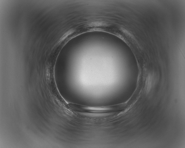 X0000081291305200701111348