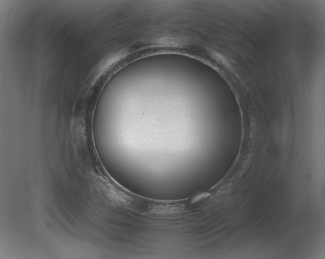 X0000081291307200701111348