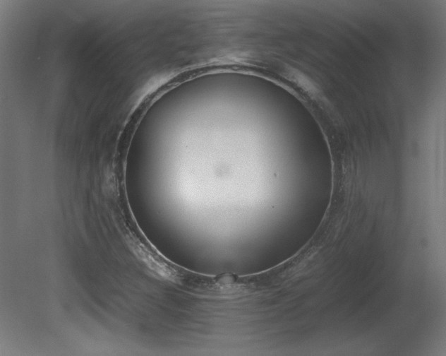 X0000081291308200701111348