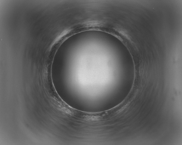 X0000081291309200701111348