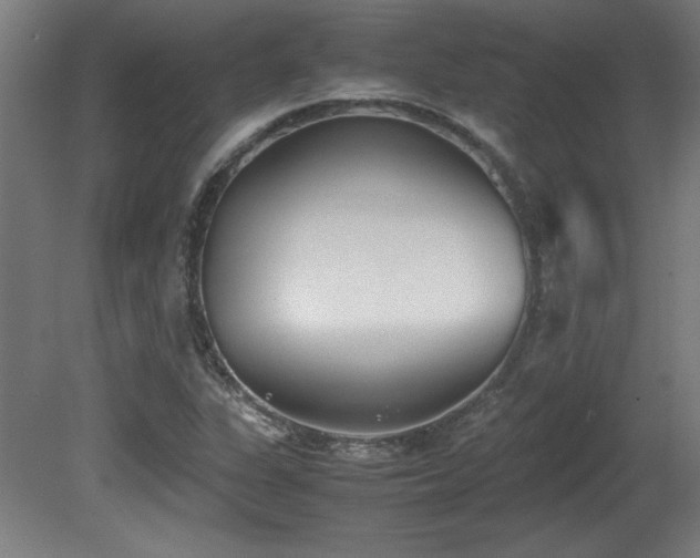 X0000081291311200701111348