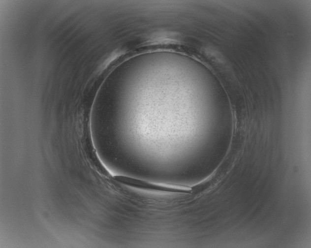 X0000081291313200701111348