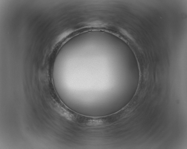 X0000081291315200701111348