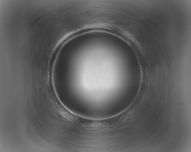 X0000081291316200701111348