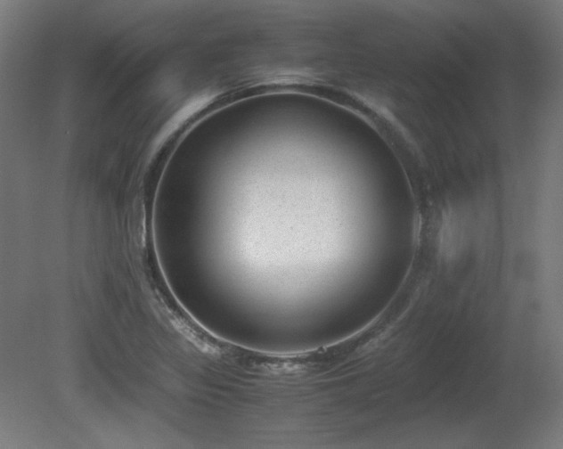 X0000081291317200701111348