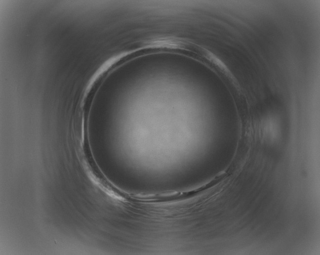 X0000081291323200701111348