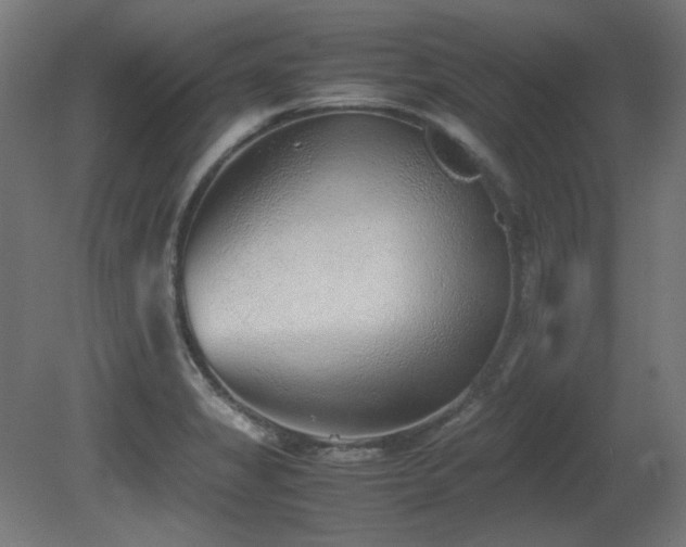 X0000081291325200701111348