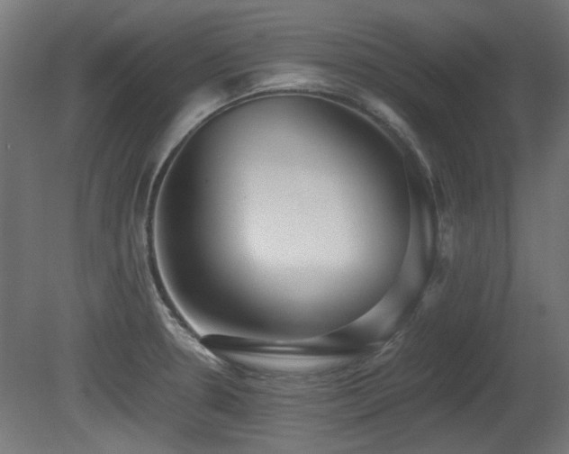 X0000081291330200701111348