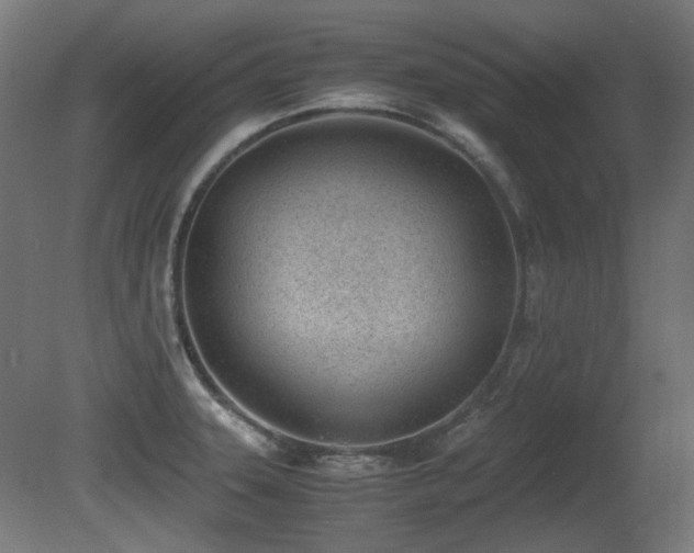 X0000081291331200701111348