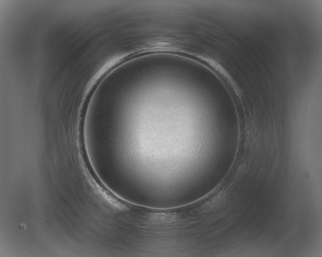 X0000081291333200701111348